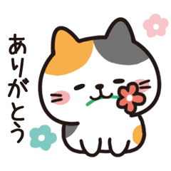 [LINEスタンプ] なかよし子猫❤