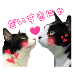 [LINEスタンプ] 白黒猫のQちゃん part2