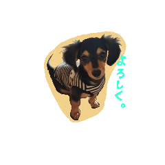 [LINEスタンプ] choko♪