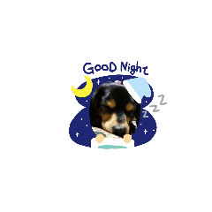 [LINEスタンプ] choko☆☆