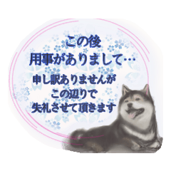 [LINEスタンプ] 和柄わんこ