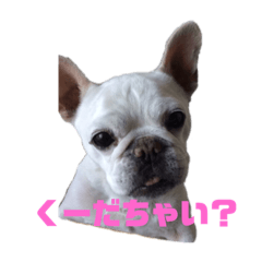 [LINEスタンプ] く〜たまスタンプ