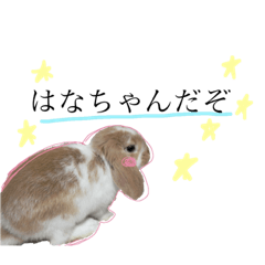 [LINEスタンプ] うさぎのはなちゃん2