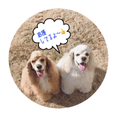 [LINEスタンプ] リロ＆ベル その2