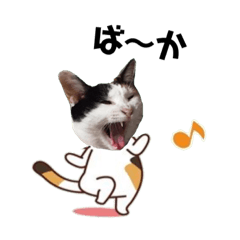 [LINEスタンプ] ツンデレのるびたんです。