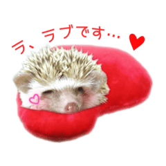 [LINEスタンプ] ハリネズミのノア＆カミー★3