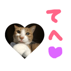 [LINEスタンプ] プーぞう、文字手書き編