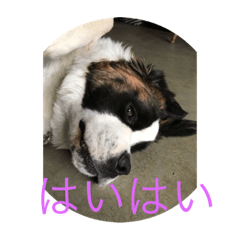 [LINEスタンプ] 太郎 鼻 