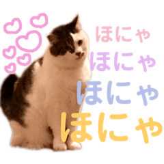 [LINEスタンプ] 田島家の色々いろいろ
