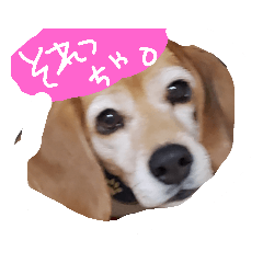 [LINEスタンプ] 山口弁のきゃりーちゃん