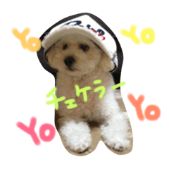 [LINEスタンプ] くくたん