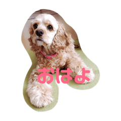 [LINEスタンプ] うちのめんこちゃんズ！ 