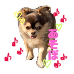 [LINEスタンプ] ろんちーだいちゃん2 