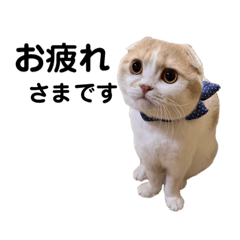 [LINEスタンプ] てんとえん2