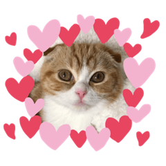 [LINEスタンプ] ずーすー 