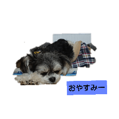 [LINEスタンプ] ラブリーココ❤