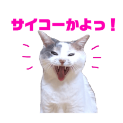 [LINEスタンプ] ユキさん スタンプ(其の二)