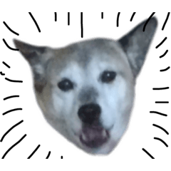 [LINEスタンプ] 風とことば