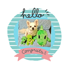 [LINEスタンプ] 愛息子チロル