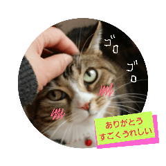[LINEスタンプ] 桃日々 3