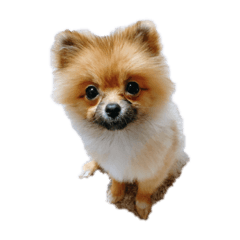 [LINEスタンプ] エマニエル