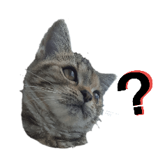 [LINEスタンプ] あめおと