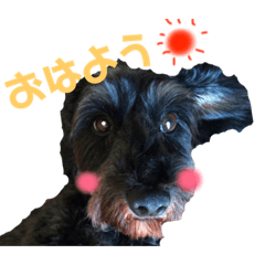 [LINEスタンプ] everyday♡セーラ