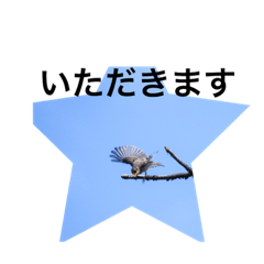 [LINEスタンプ] 鳥さんいろいろ