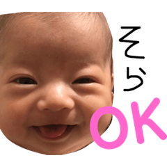 [LINEスタンプ] そらぴーすたんぷ fetchpriority=high