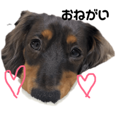 [LINEスタンプ] るーたんのスタンプrume 