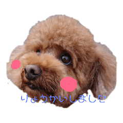 [LINEスタンプ] ぶんchan 