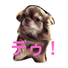 [LINEスタンプ] しふぉん2