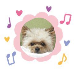 [LINEスタンプ] モカのほのぼの日常 