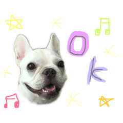 [LINEスタンプ] フレブルきなこのスタンプ
