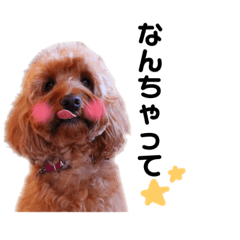 [LINEスタンプ] Fayくん♡3 