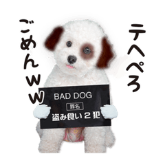 [LINEスタンプ] こぶた＆おーじ20180219