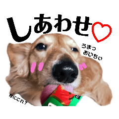 [LINEスタンプ] ダックスフンドの銀♂とたまにミュー♀(2)