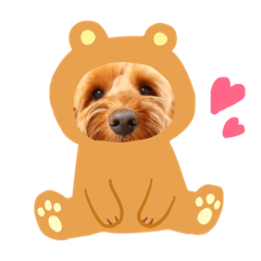 [LINEスタンプ] Fayくん♡♡ 