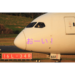 [LINEスタンプ] どうぞ‼️ 