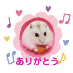 [LINEスタンプ] ハムスターのあいさつスタンプ 