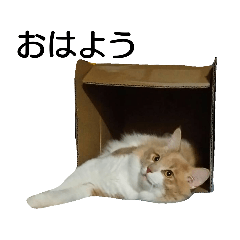 [LINEスタンプ] やさぐれノルジャン