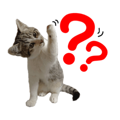 [LINEスタンプ] 今日も ちょろ吉