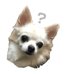 [LINEスタンプ] 海太〜“かいた”じゃなくて“うた”だよ〜 