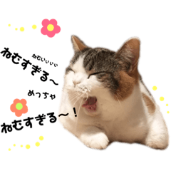 [LINEスタンプ] ねこちゃんとねこちゃんのスタンプ