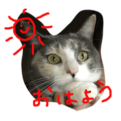 [LINEスタンプ] I LOVE CAT 3の画像（メイン）