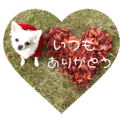 [LINEスタンプ] ぷっちゃんです！ 