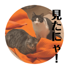 [LINEスタンプ] カイとリク第三弾 