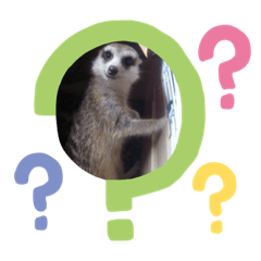 [LINEスタンプ] 動物スタンプ！！！！ 