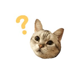 [LINEスタンプ] ディオちゃんといっしょ 2