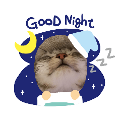 [LINEスタンプ] おーちゃん(*^O^*) 